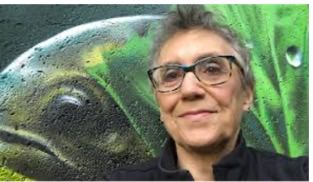 Liz Zetlin